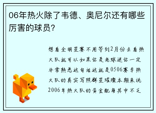 06年热火除了韦德、奥尼尔还有哪些厉害的球员？